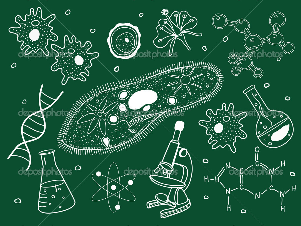 Nature：科学家找到杀死抗药细菌的新靶点