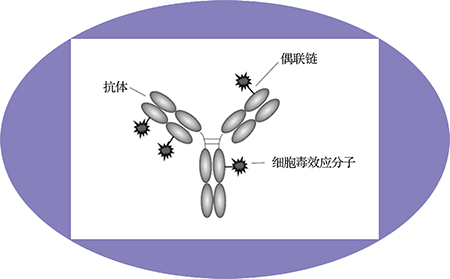 南宫NG·28ADC临床前服务之ADC结构