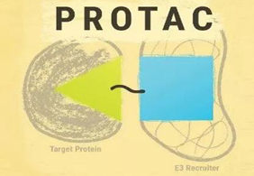 热点前沿:PROTAC初露锋芒，SD-36对抗肿瘤效果卓越