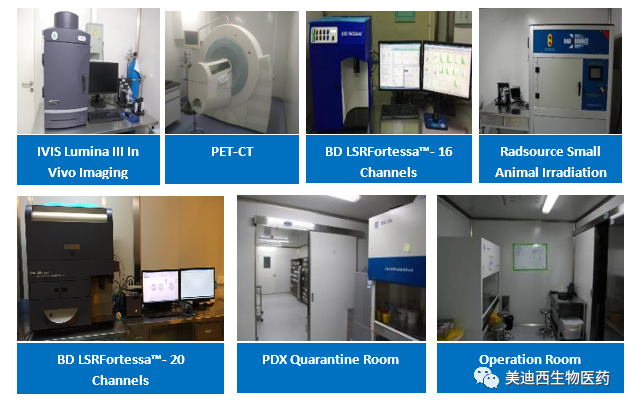 南宫NG·28药理部拥有IVIS Lumina III, PET-CT, BD LSRFortessa-16, Flow Cytometry等仪器，提供符合申报，支持临床试验的药效评价服务。