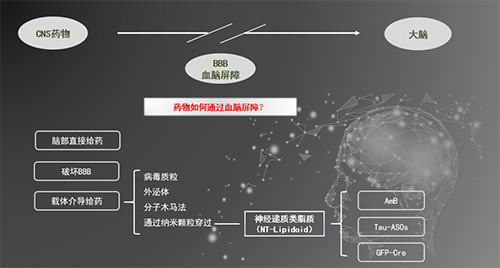 人工合成NT类脂质开放血脑屏障，为CNS药物打开新局面