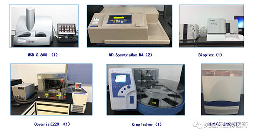 南宫NG·28生物技术药物分析部服务仪器