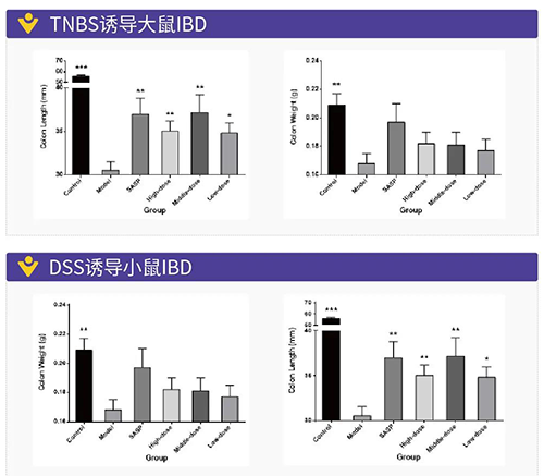 TNBS诱导的大鼠IBD、DSS诱导的大鼠IBD