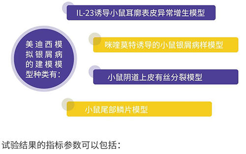 南宫NG·28模拟银屑病的建模模型种类