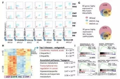 Science子刊：一种FDA批准的抗腹泻药物可有效对抗化疗的耐药性 南宫NG·28生物医药