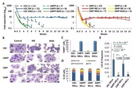 Science子刊：一种FDA批准的抗腹泻药物可有效对抗化疗的耐药性 南宫NG·28生物医药