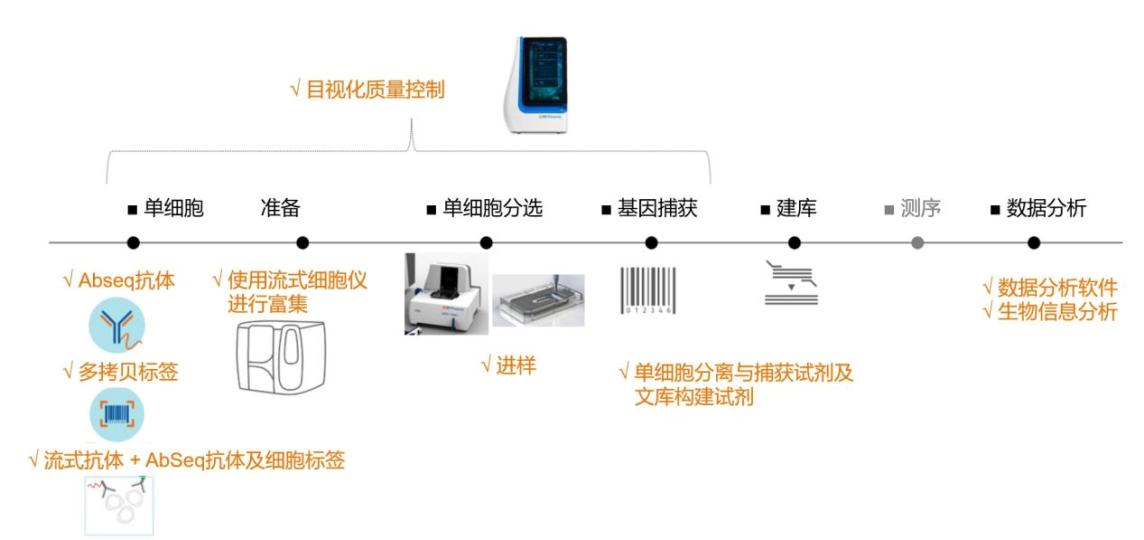 单B细胞技术.webp