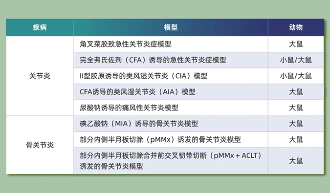 世界关节炎日：突破上亿人的共同难关，持续探索关节炎新药