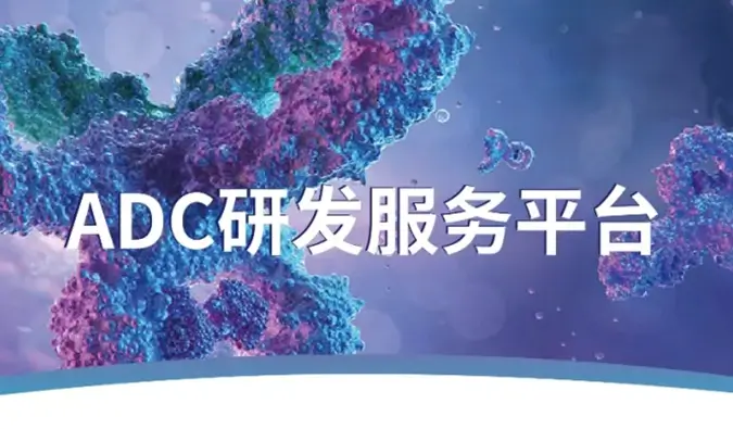 一文读懂：抗体偶联药物（ADC）