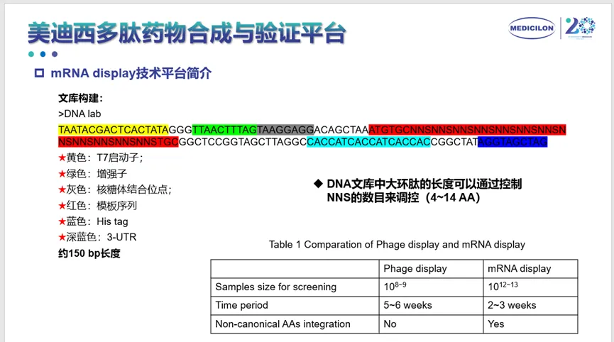 南宫NG·28多肽药物合成与验证平台.webp