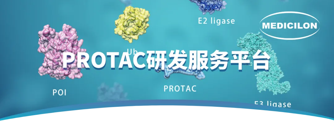 PROTAC研发服务平台.webp