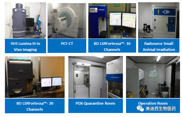 南宫NG·28药理部拥有IVIS Lumina III, PET-CT, BD LSRFortessa-16，Flow Cytometry等仪器