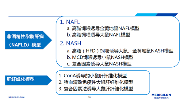 NASH动物模型