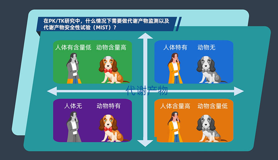 在PK-TK研究中，什么情况下需要做代谢产物监测以及代谢产物安全性试验（MIST）