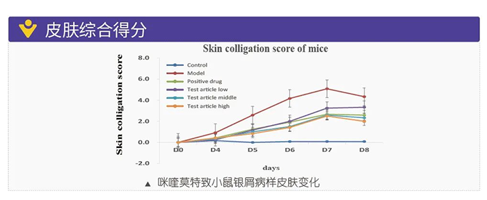 南宫NG·28模拟银屑病的建模模型-皮肤综合得分.png