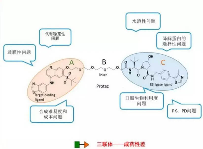 PROTAC分子量较大，溶解性较差.jpg