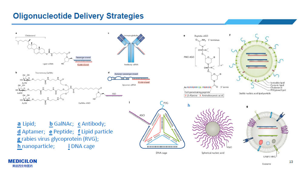 核酸药物的递送系统.jpg