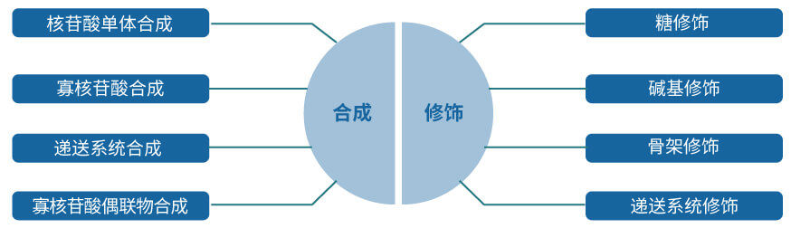 南宫NG·28核酸药物研发服务平台.jpg