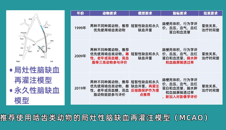 袁云云博士：啮齿类动物脑卒中疾病药效成药性评价系统（2）.jpg