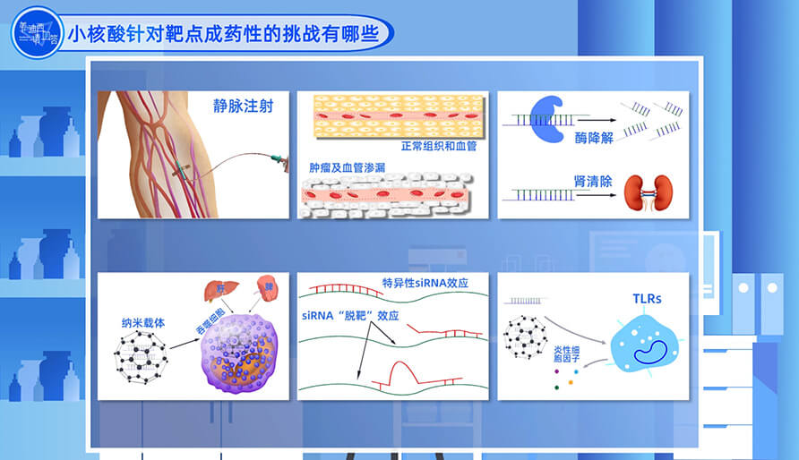 小核酸针对靶点成药性的挑战有哪些？