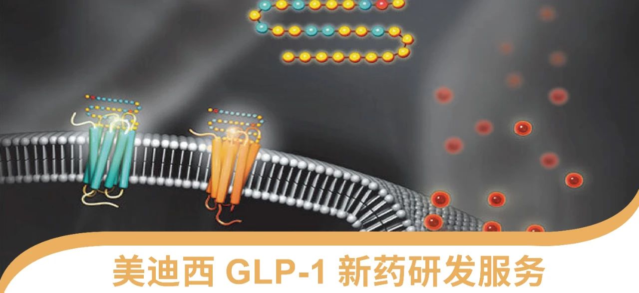 南宫NG·28一站式 丨 “GLP-1”新药研发服务能力介绍