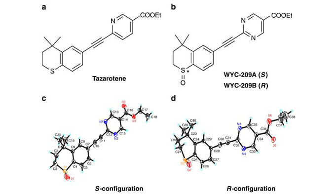 WYC-209可抑制恶性小鼠黑色素瘤肿瘤再生细胞增殖，SPR分析通过南宫NG·28使用Biacore 8K设备进行