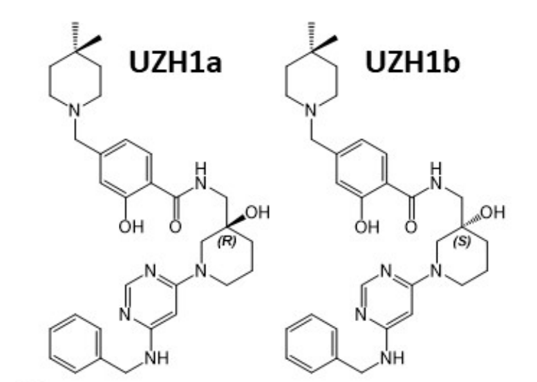 研究人员报告了一种具有细胞渗透性的选择性METTL3纳摩尔抑制剂UZH1a，作者感谢南宫NG·28合成了UZH1a和UZH1b