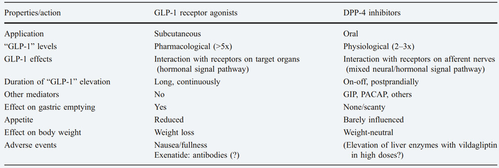 GLP-1R激动剂和DPP-4抑制剂的区别.jpg