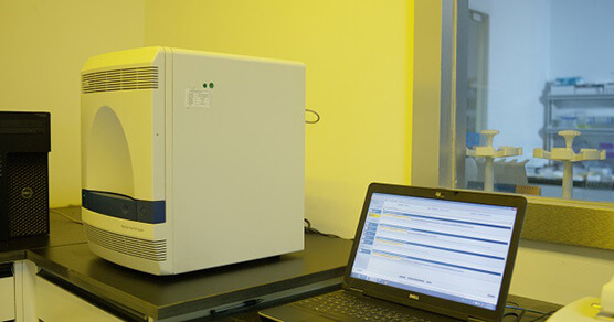 Biology-Real-time-PCR