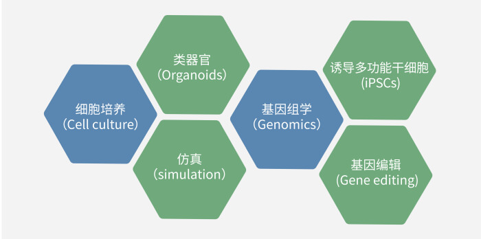 六大技术板块已上线，持续升级中.jpg