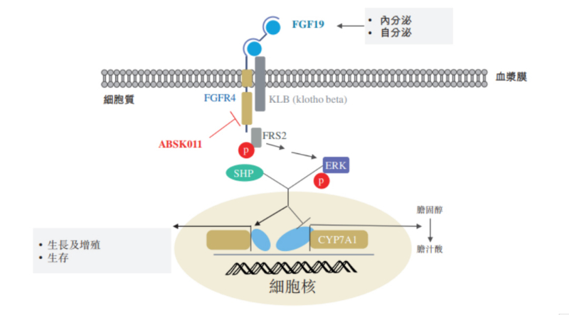 图源：公开资料.jpg