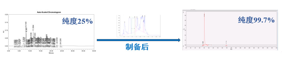 案例一：仿制药发补：大极性杂质制备.jpg